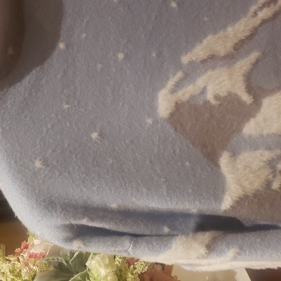 Nwt Rachel ZOE sweater 1x and 2x blue and white - Picture 6 of 14